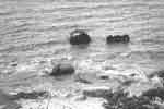 The manifold and boiler remain in the water while the rest of the ship is decaying on shore - La tubulure et la chaudire demeurent dans l'eau tandis que le reste du bateau se dlabre sur le rivage