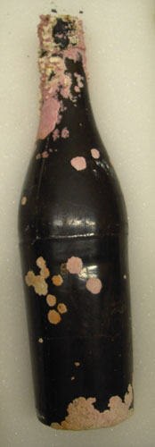 Bottle from shipwreck in Trinity Harbour - Bouteille de naufrage dans le port de Trinity 