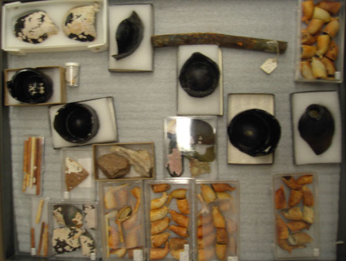 Clay pipes, broken bottles and other objects from shipwreck in Trinity Harbour - Les pipes d'argile, les bouteilles casses et d'autres objets de naufrage dans Trinity  