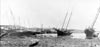 Wreckage in Twillingate Harbour after the N.E. gale of September 7 1907 - pave dans le port de Twillingate aprs la rafale de nord-est, septembre 7 1907
